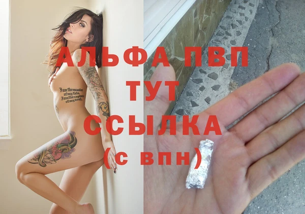 соль ск Алексин