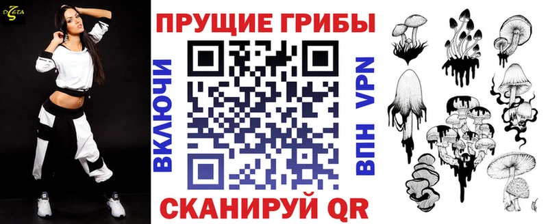 Купить  Железноводск  Галлюциногенные грибы Psilocybine cubensis 